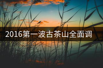 2016第一波古茶山全面調(diào)研第四站——臨滄·大雪山、小戶賽