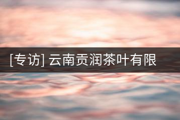 [專訪] 云南貢潤(rùn)茶葉有限公司董事長(zhǎng)張光輝