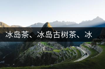冰島茶、冰島古樹茶、冰島茶區(qū)茶、冰島茶區(qū)古樹茶