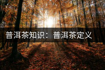 普洱茶知識(shí)：普洱茶定義釋意大全