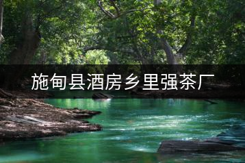 施甸縣酒房鄉(xiāng)里強茶廠