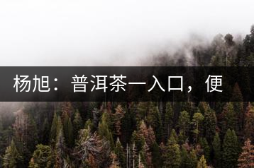 楊旭：普洱茶一入口，便知產(chǎn)地和年份