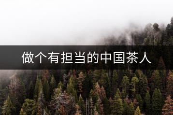 做個(gè)有擔(dān)當(dāng)?shù)闹袊枞? decoding=