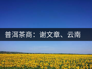 普洱茶商：謝文章、云南谷申商貿(mào)有限公司總經(jīng)理