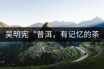 吳明憲“普洱，有記憶的茶品”