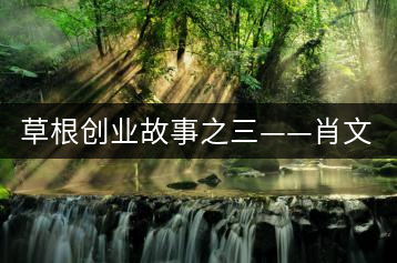 草根創(chuàng)業(yè)故事之三——肖文波：瑤嶺育“金芽”