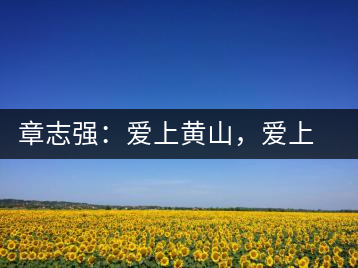 章志強(qiáng)：愛(ài)上黃山，愛(ài)上黃山的茶