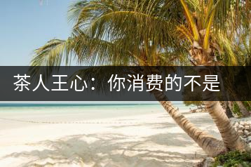 茶人王心：你消費(fèi)的不是茶，是我