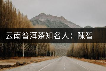 云南普洱茶知名人：陳智同