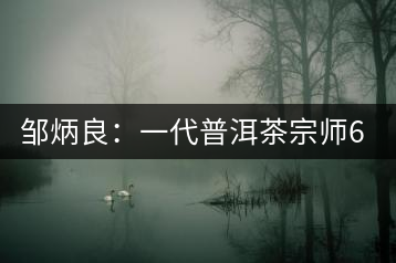 鄒炳良：一代普洱茶宗師60年制茶的傳奇故事