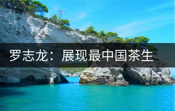 羅志龍：展現(xiàn)最中國(guó)茶生活