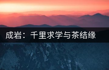 成巖:千里求學(xué)與茶結(jié)緣 借錢開店表演茶藝招攬顧客