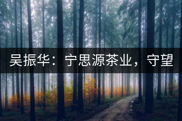 吳振華：寧思源茶業(yè)，守望家鄉(xiāng) 做好“金獎(jiǎng)茶王”