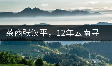 茶商張漢平，12年云南尋茶路