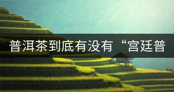 普洱茶到底有沒有“宮廷普洱”一說？它到底是什么？