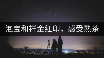 泡寶和祥金紅印，感受熟茶之美。