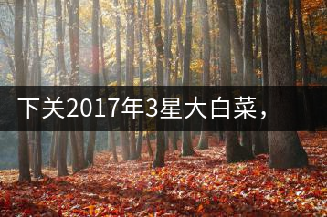 下關(guān)2017年3星大白菜，好茶從未中斷