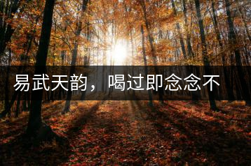 易武天韻，喝過即念念不忘的茶中皇后