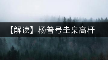 【解讀】楊普號圭臬高桿茶：形高、氣足、韻遠(yuǎn)的一款茶