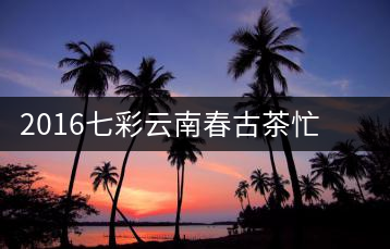 2016七彩云南春古茶忙肺開(kāi)湯——?jiǎng)側(cè)岵?jì)的謙謙君子