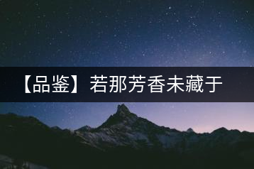 【品鑒】若那芳香未藏于樟野，怎會這般獨具韻味？