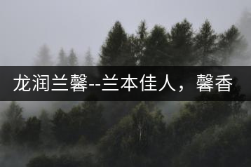 龍潤(rùn)蘭馨–蘭本佳人，馨香高雅