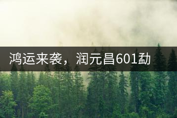 鴻運來襲，潤元昌601勐海紅韻熟茶即將上市