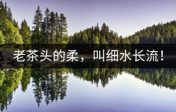老茶頭的柔，叫細(xì)水長流！