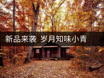 新品來襲  歲月知味小青柑（貳號）喜迎國慶