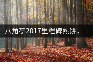 八角亭2017里程碑熟餅，自先發(fā)酵而后愛(ài)人