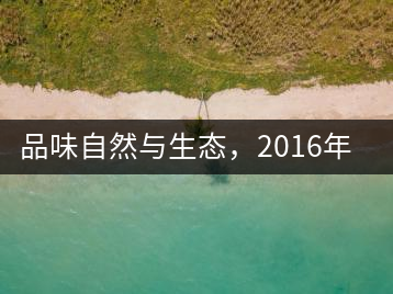 品味自然與生態(tài),2016年勐傣“大雪山古樹茶”