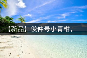 【新品】俊仲號(hào)小青柑，青果來(lái)傾城
