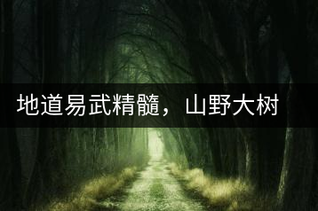 地道易武精髓，山野大樹珍品—普秀易武生態(tài)喬木圓茶即將上市