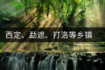 西定、勐遮、打洛等鄉(xiāng)鎮(zhèn)古茶樹(shù)資源