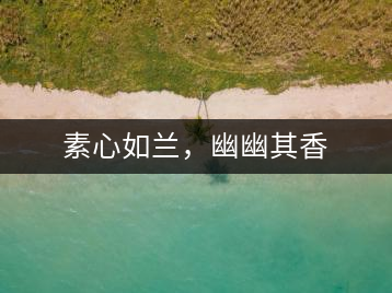 素心如蘭，幽幽其香