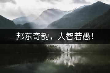 邦東奇韻，大智若愚！