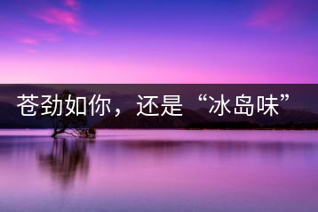 蒼勁如你，還是“冰島味”嗎？