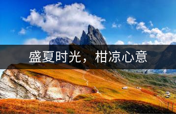 盛夏時(shí)光，柑涼心意