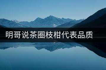 明哥說(shuō)茶圈枝柑代表品質(zhì)高點(diǎn)，是玩家級(jí)的產(chǎn)品