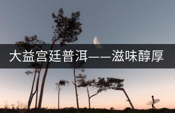 大益宮廷普洱——滋味醇厚，陳香濃郁