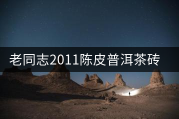 老同志2011陳皮普洱茶磚開(kāi)湯