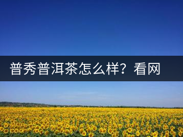 普秀普洱茶怎么樣？看網(wǎng)友精彩回答