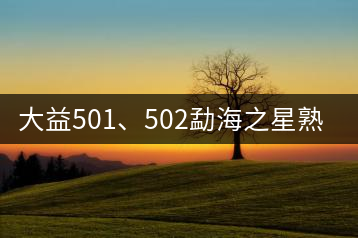 大益501、502勐海之星熟茶