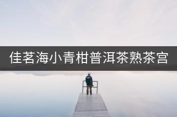 佳茗海小青柑普洱茶熟茶宮廷特級新會(huì)桔橘陳皮古樹普洱茶葉600g