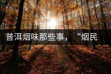 普洱煙味那些事，“煙民”不怕當(dāng)