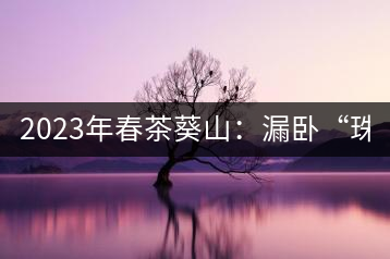 2023年春茶葵山：漏臥“珠江紅：1200元-3200元（有3個檔次）漏臥“大廠茶”：古樹單株8600-9000元／公斤，中樹4800-5200元／公斤，小樹混采2600-2800元／公斤。