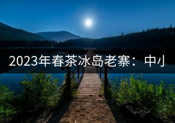2023年春茶冰島老寨：中小樹混采2500-3000元／公斤，大樹：7000-8000元／公斤，古樹混采：28000-36000元／公斤