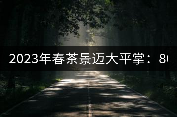 2023年春茶景邁大平掌：800-1000元／公斤