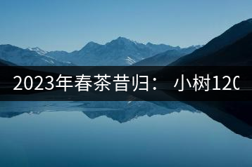 2023年春茶昔歸： 小樹1200-1600元／公斤，大樹4500-5200元／公斤，古樹7500-9000元／公斤.