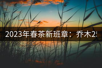 2023年春茶新班章：喬木2500-2800元／公斤 古樹：4500~6500元／公斤